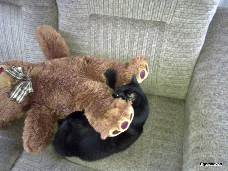 Molly and her teddy bear