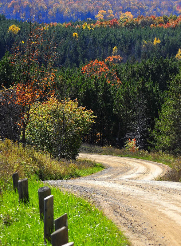 Autumn Ontario 