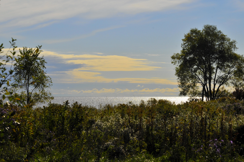 Humber Bay