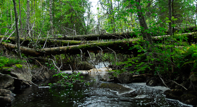 Wind made bridge