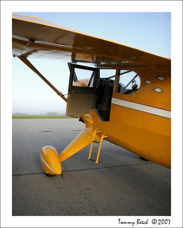 Stinson Reliant