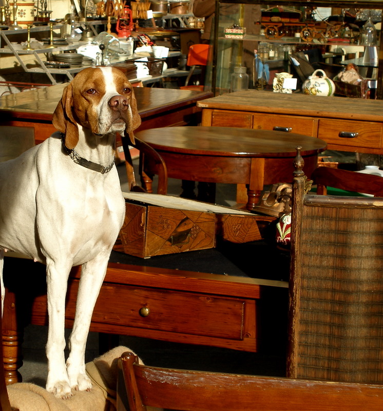 Vintage market