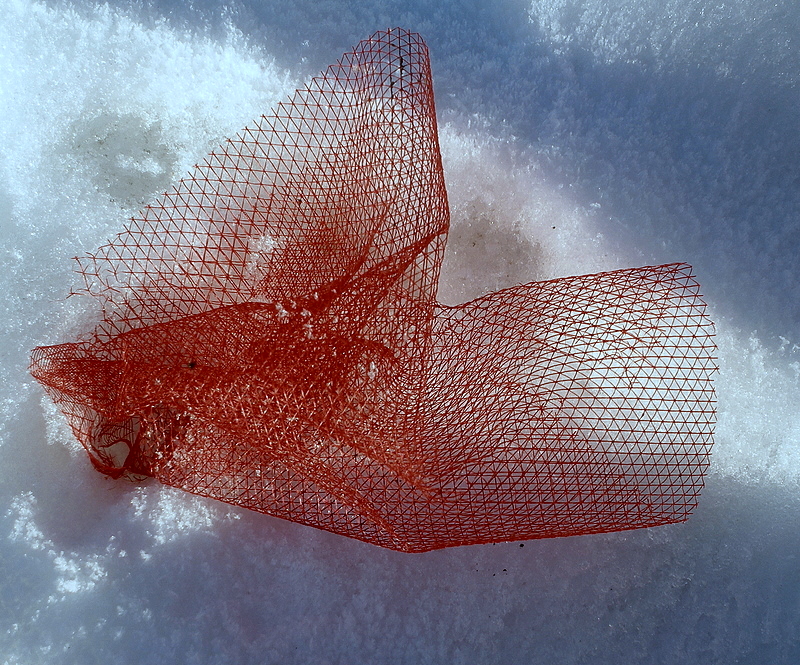 Red on snow