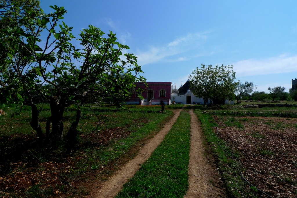 Walking around my house in the country