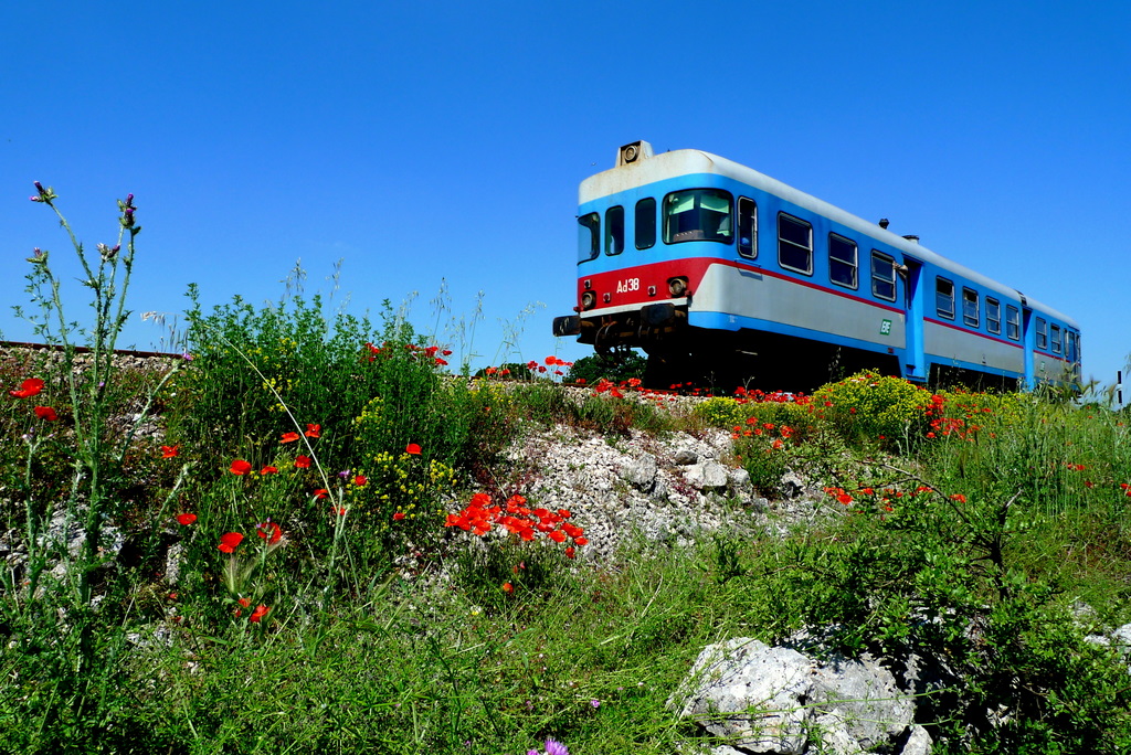 The Spring Train