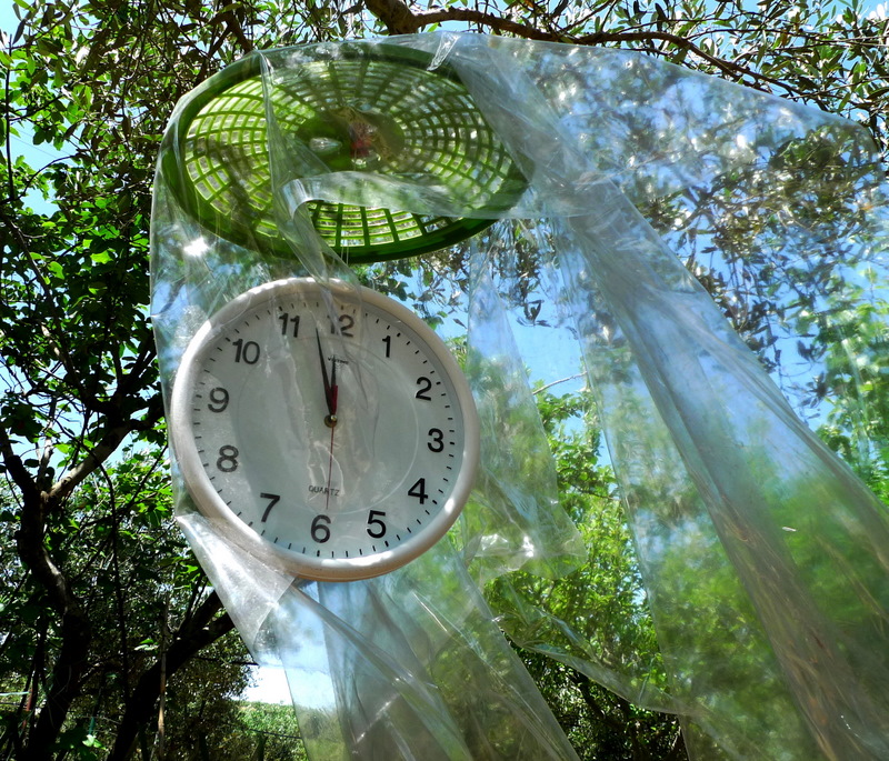 my garden clock