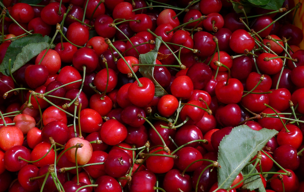 Cherries