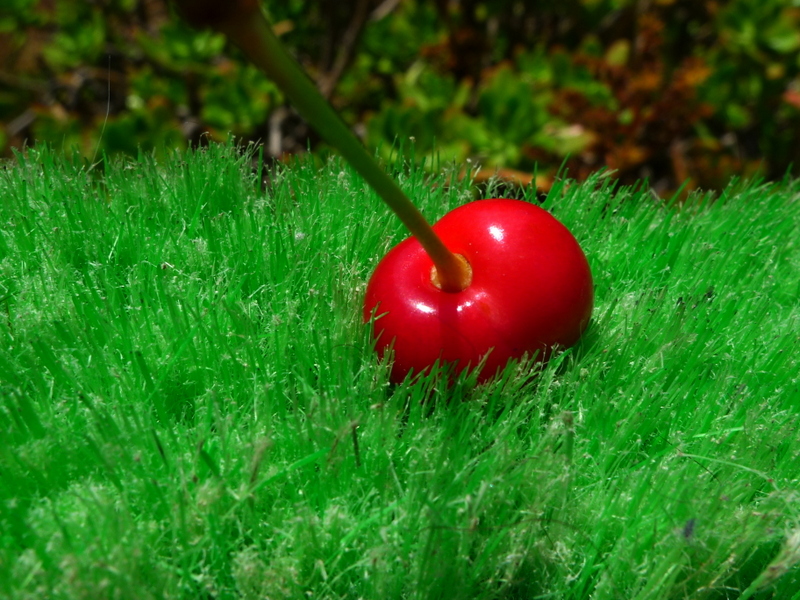 the Cherry on the Green