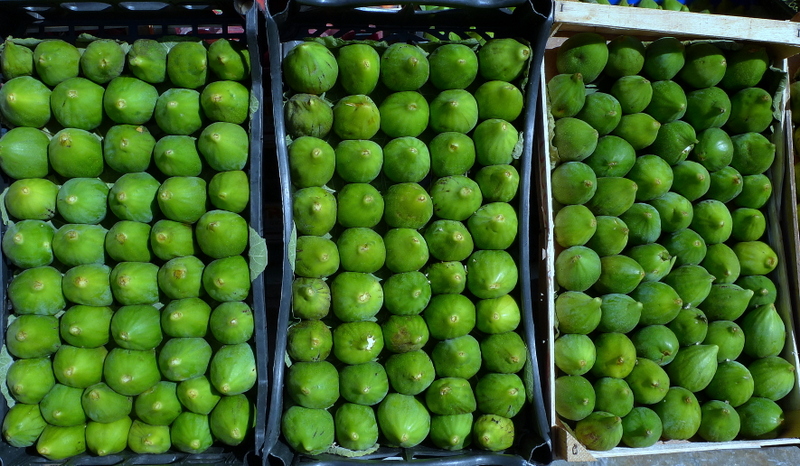 Fioroni.......fruit of Gods