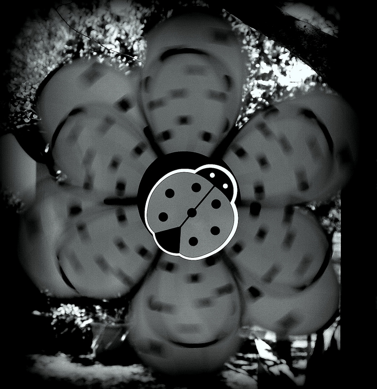 pinwheel
