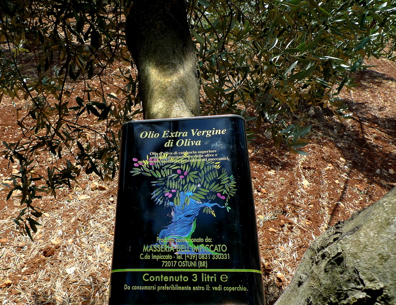 22-P1250290.JPG