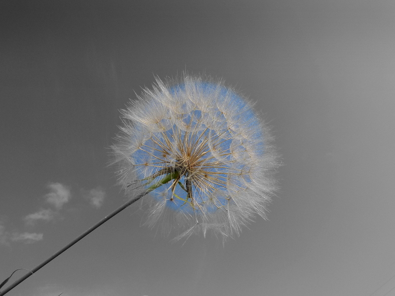 Digital Work