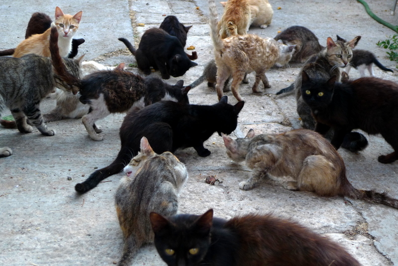 is the feeding time.....