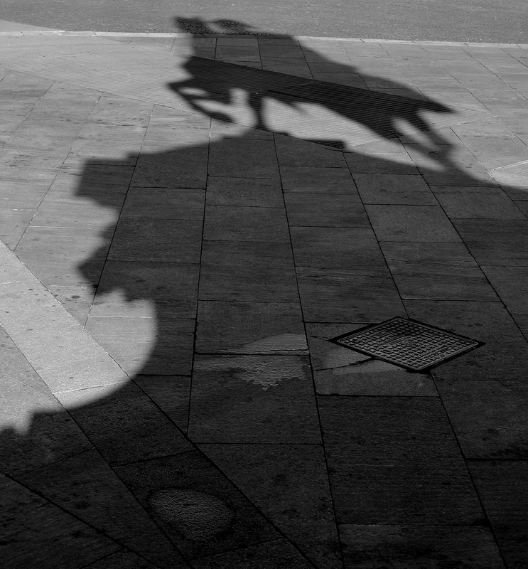 Shadow Knight