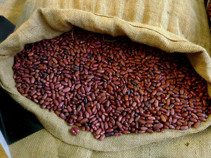 Red Bean of Lucca - Toscana