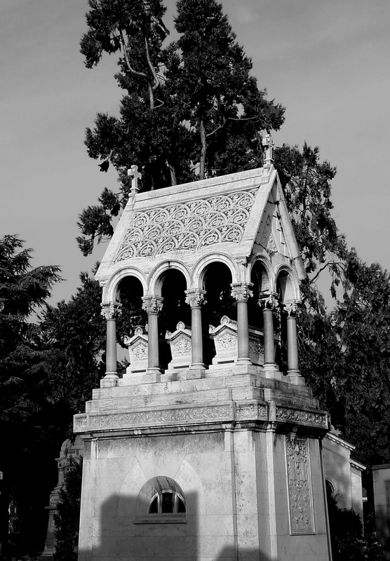Cemetery  of my city