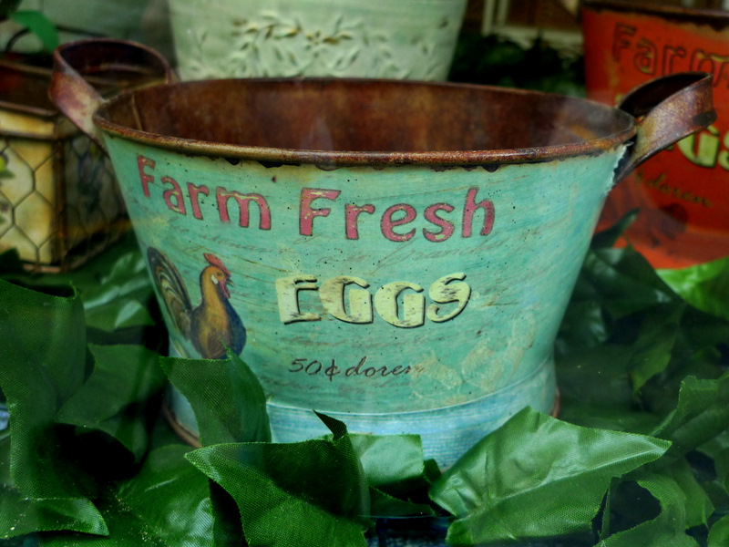 Farm Fresh Eggs