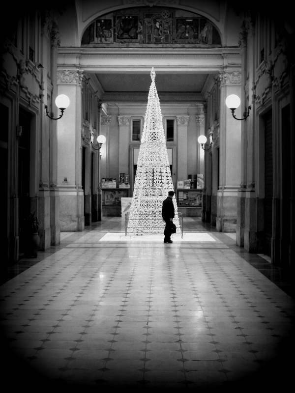 Lights Lines and Shadows of Christmas tree