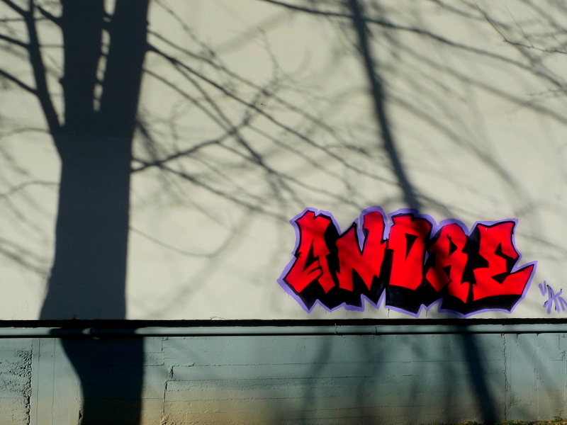 Words on the wall