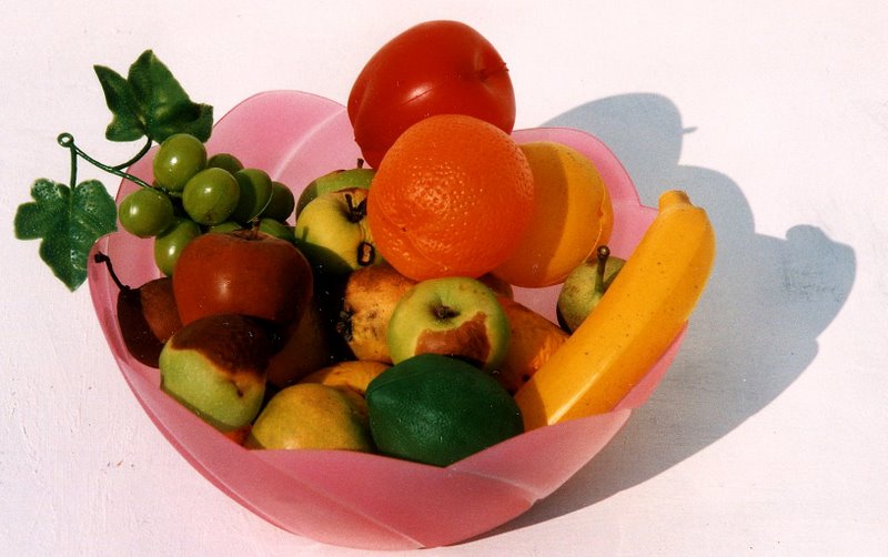 Fruit true and false