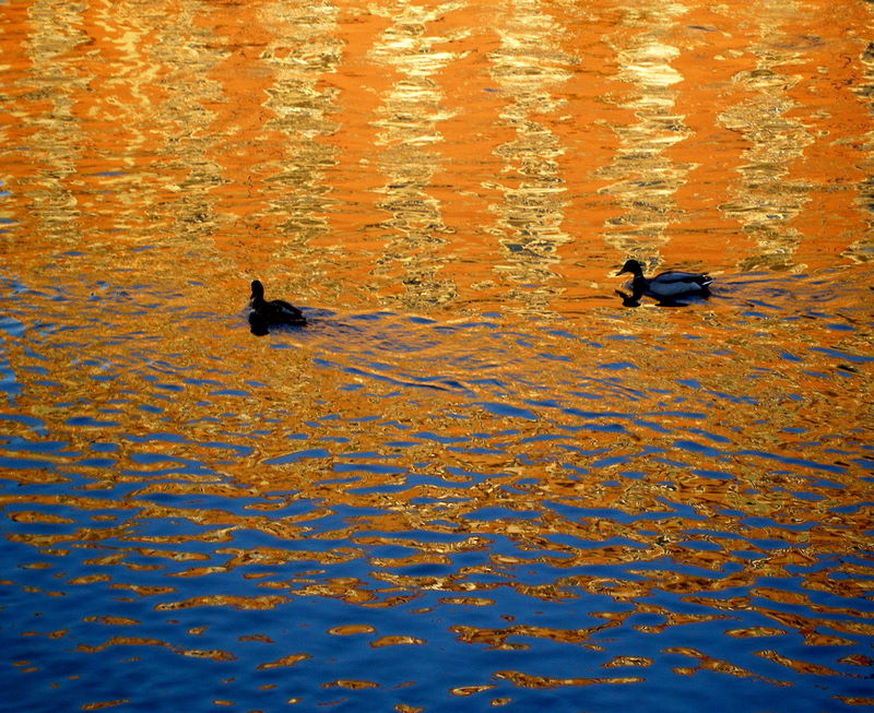 On the river at sunset