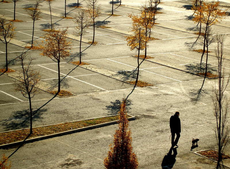 Walking with the dog