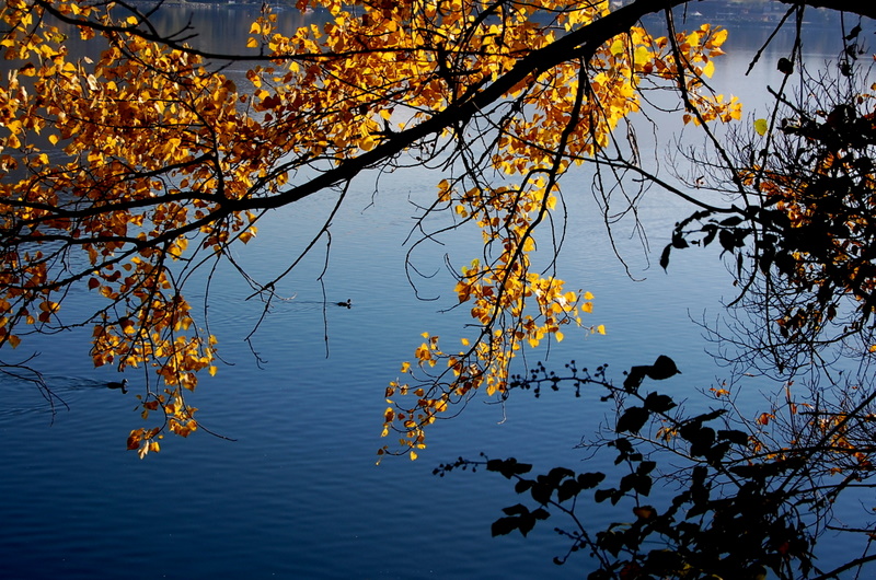 Lakes Avigliana - Italy
