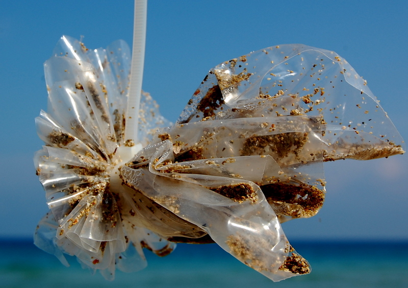 plastic composition