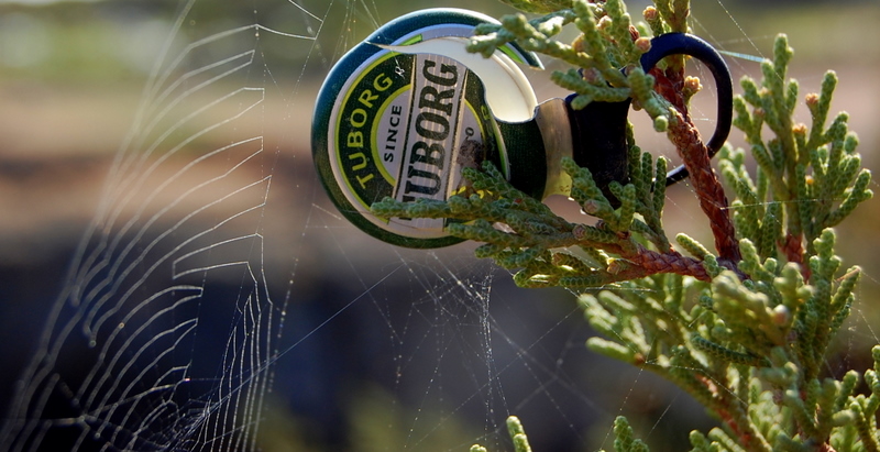 Tuborg