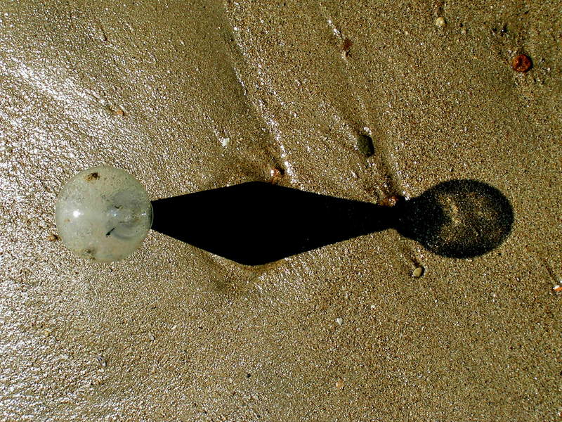bulb