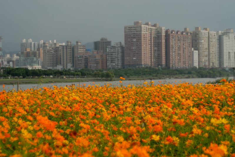 Oct 22   Park in the city