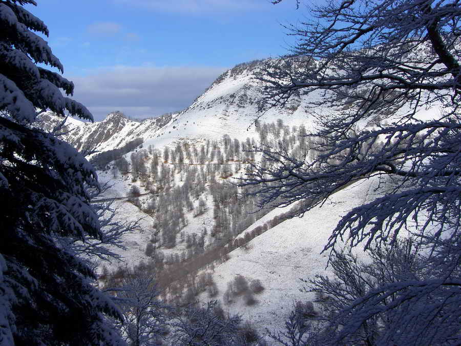 _H104888.JPG