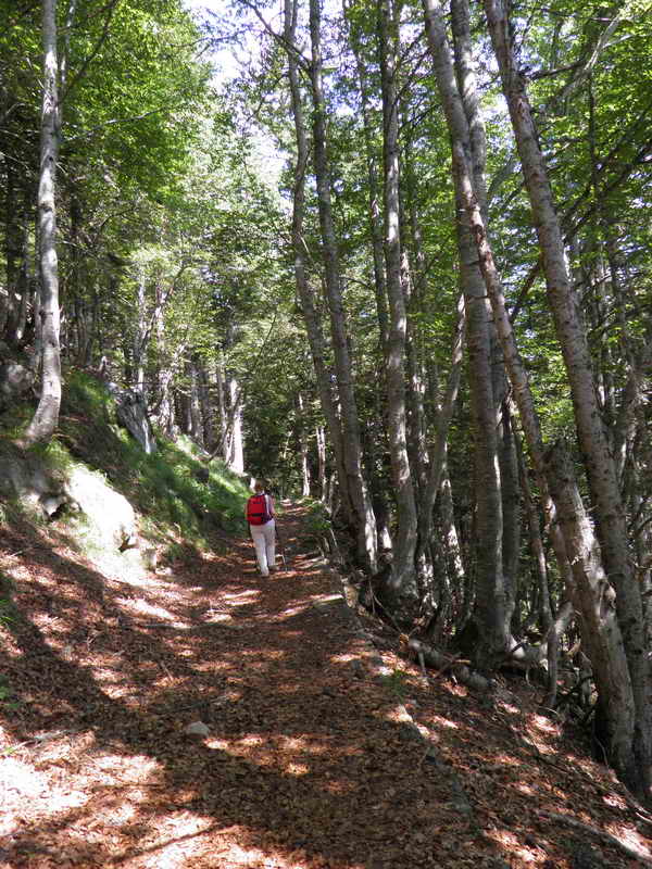 Bucolique chemin du Pgure