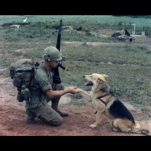 Sgt. Robert Kollar & Rebel-M421