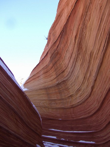Wave-0310.jpg