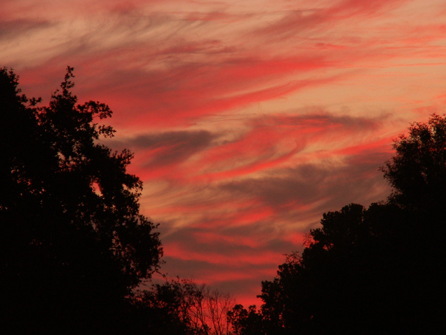 10-17-2010 Cirrus Sunrise 2.jpg