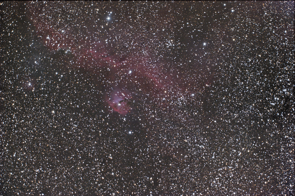 Seagull Nebula IC 2177