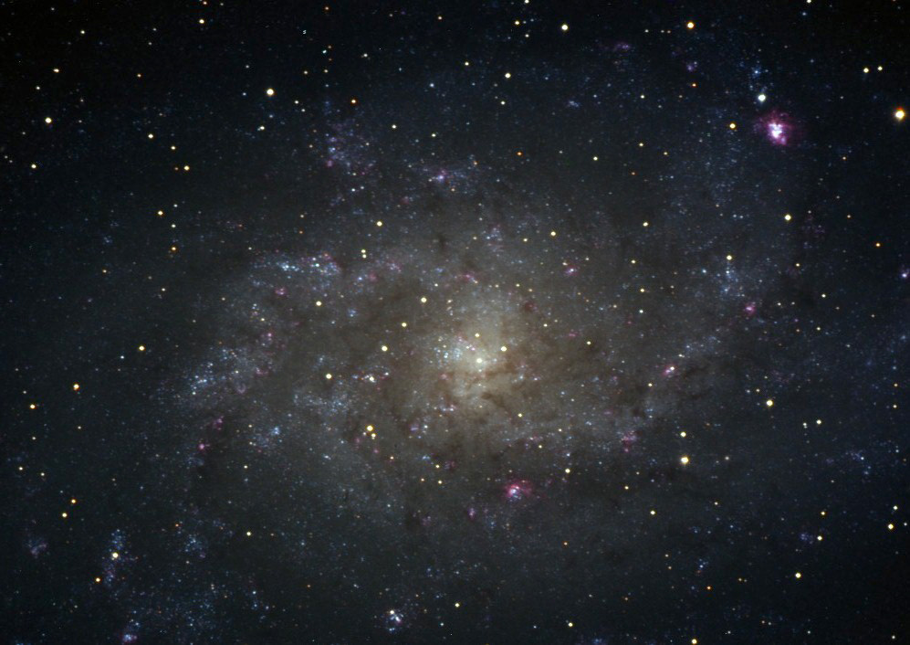 M33
