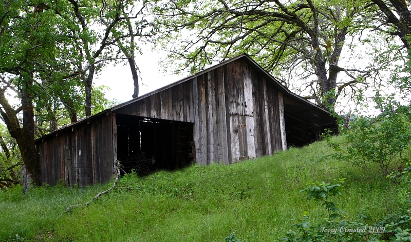 4-10-09 ink grade barn_4338.JPG