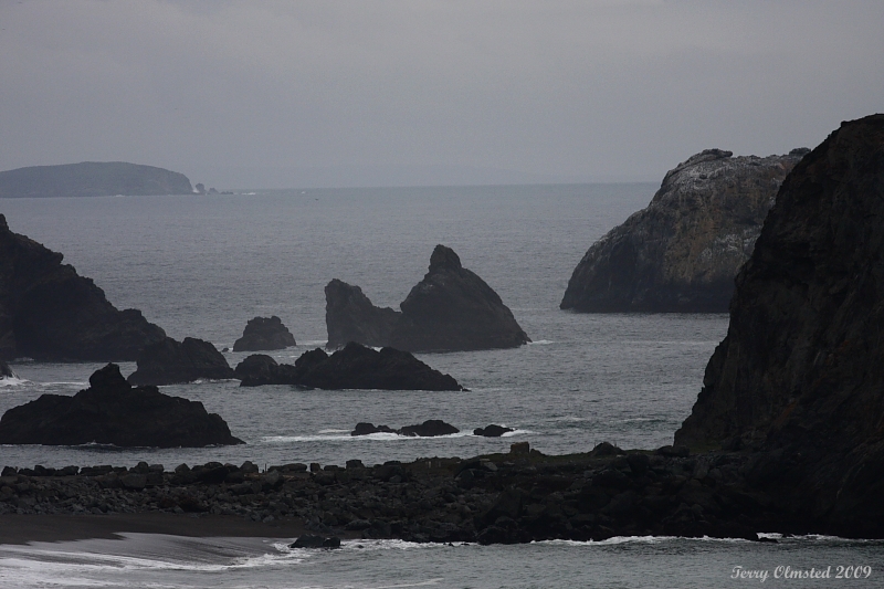 4-8-09 N Calif Coastline base of Kings Ridge_4286.JPG