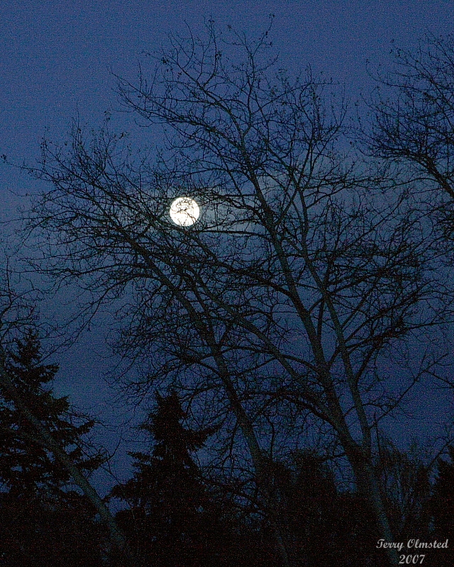 10-26-07 moonset_3326.JPG