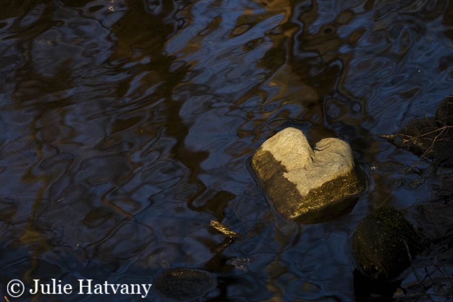 Heart Rock In The River