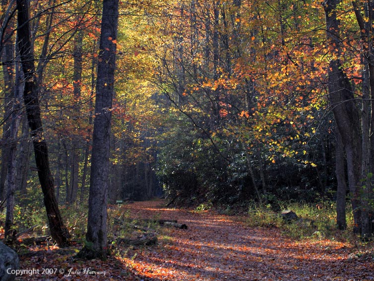 Trailhead Middle Prong