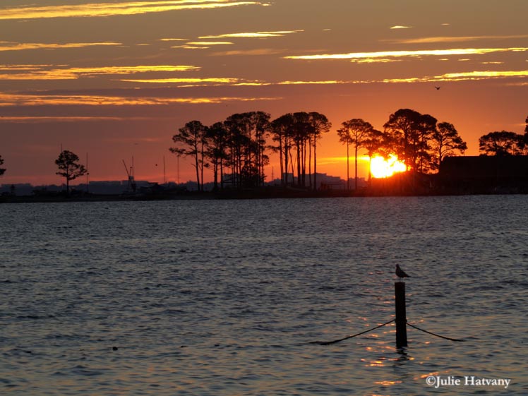 Sunrise on Choctawhatchee Bay