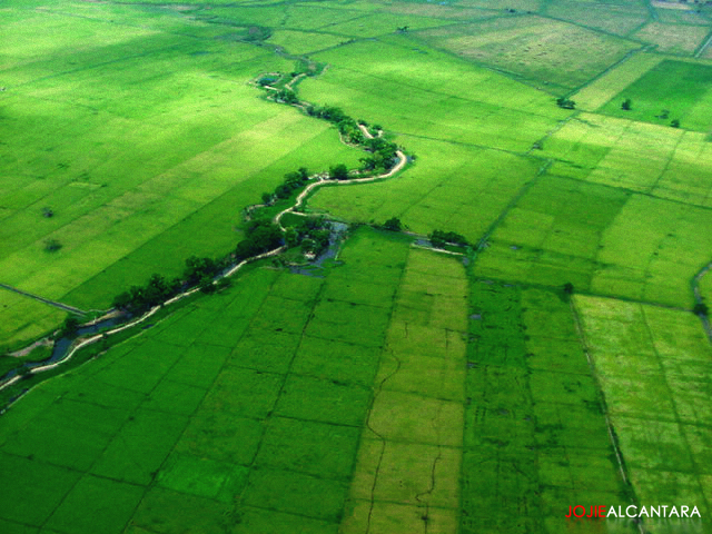 Greens and long highway (2003)