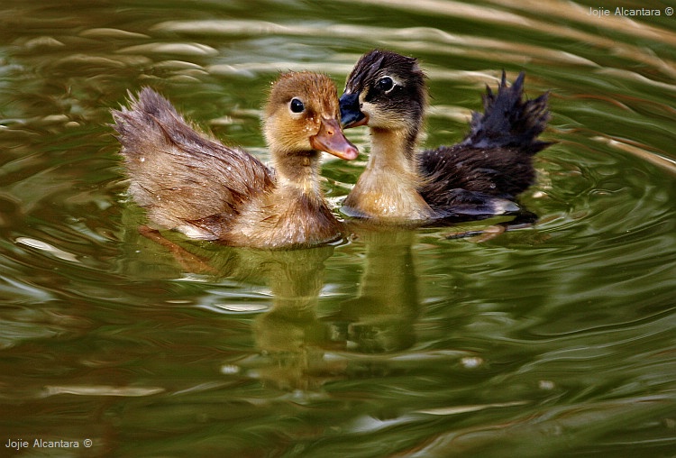 Sharing Secrets