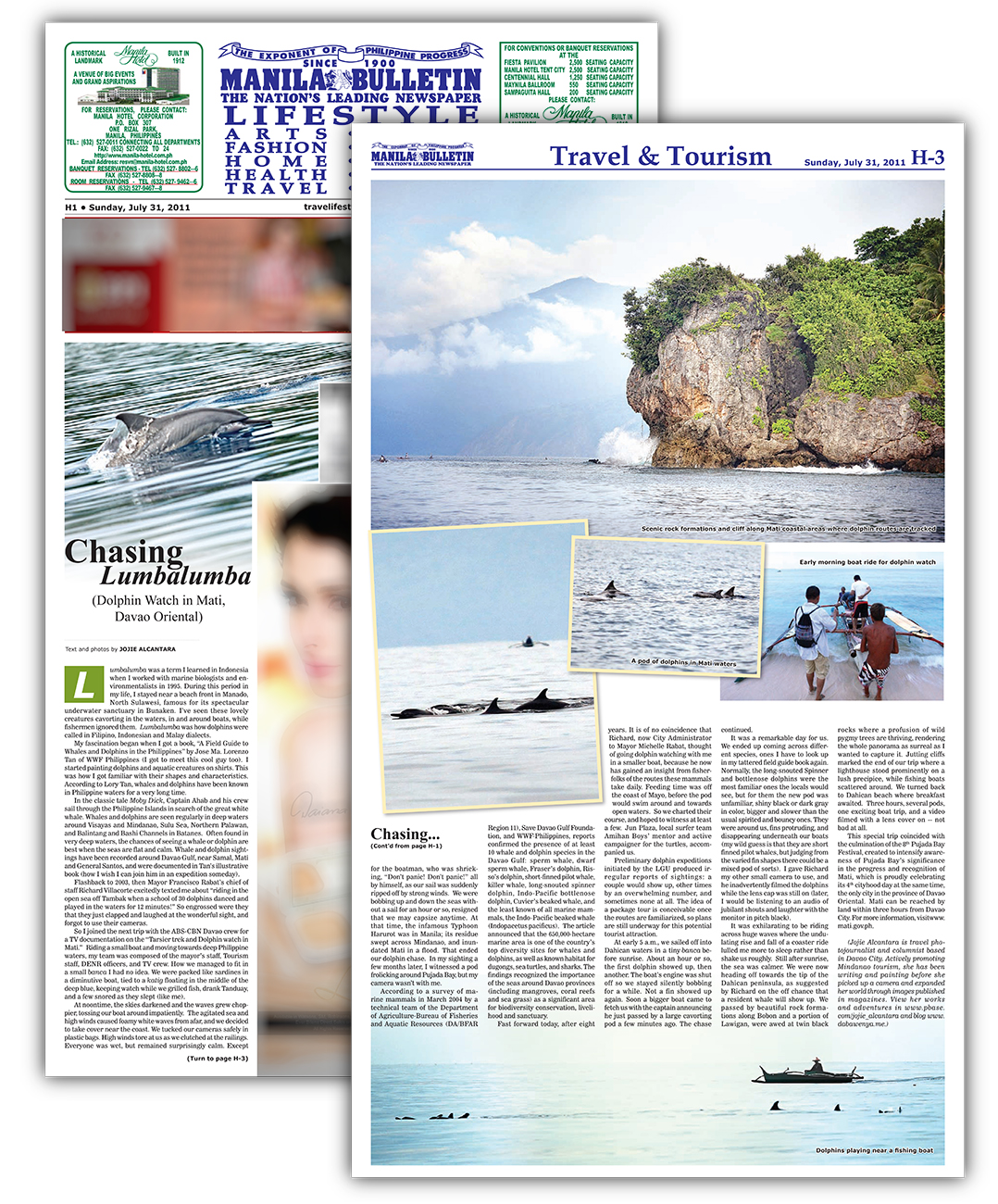 Dolphin Chase in Mati