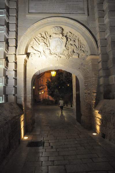 City gate of Medina