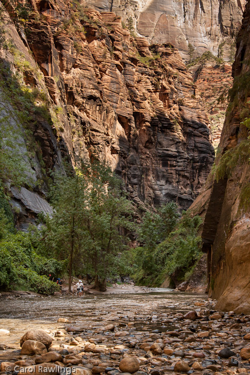 Hikers in Zion NP