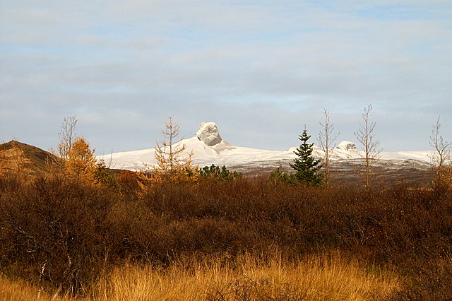 Vaalfjll fr sjnarhli Berufjarar